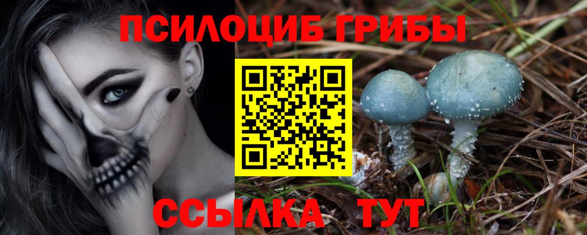 Галлюциногенные грибы прущие грибы Алушта